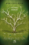 Resim Yalancı Orman