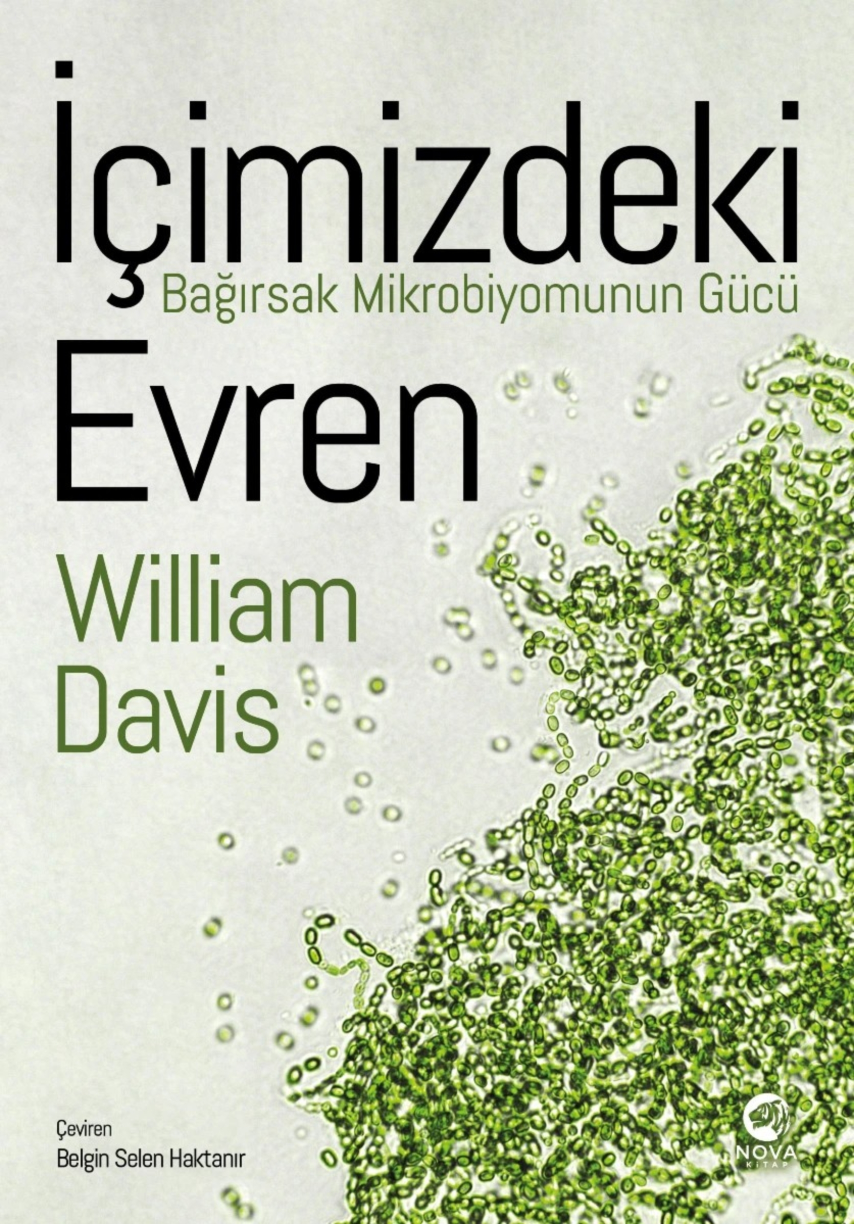 Resim İçimizdeki Evren