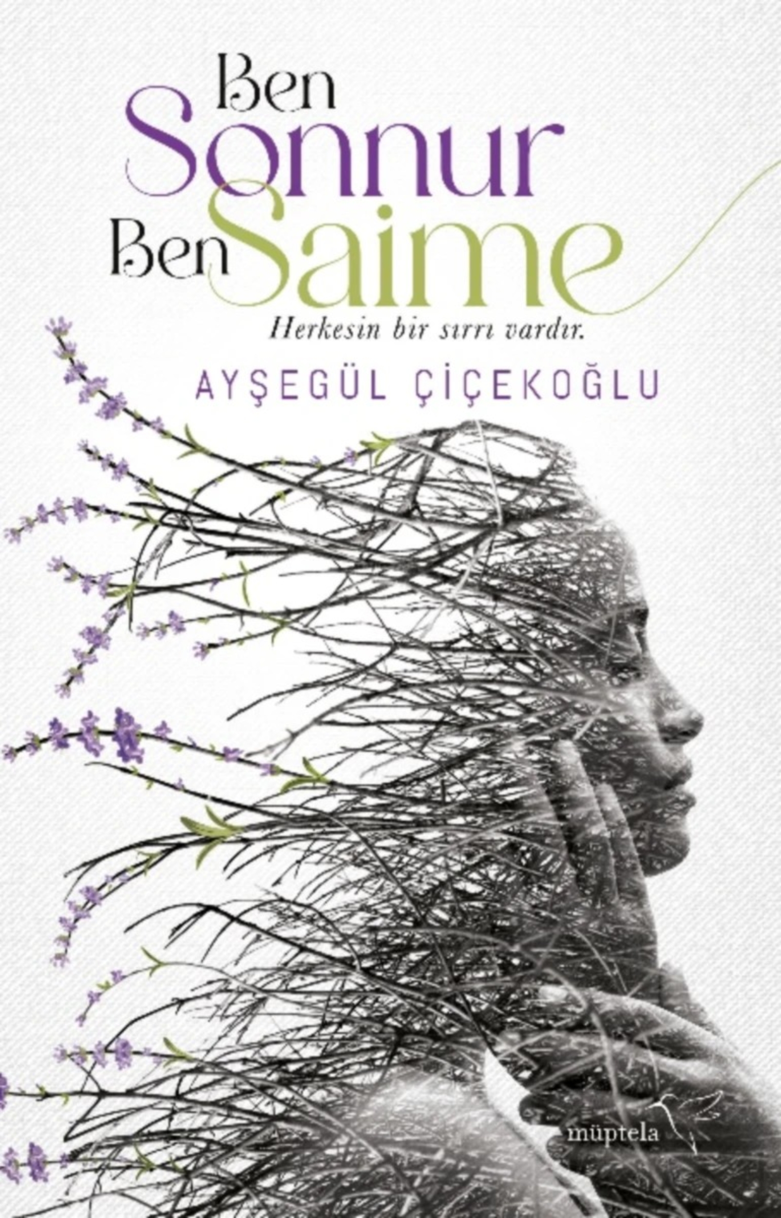 Resim Ben Sonnur, Ben Saime