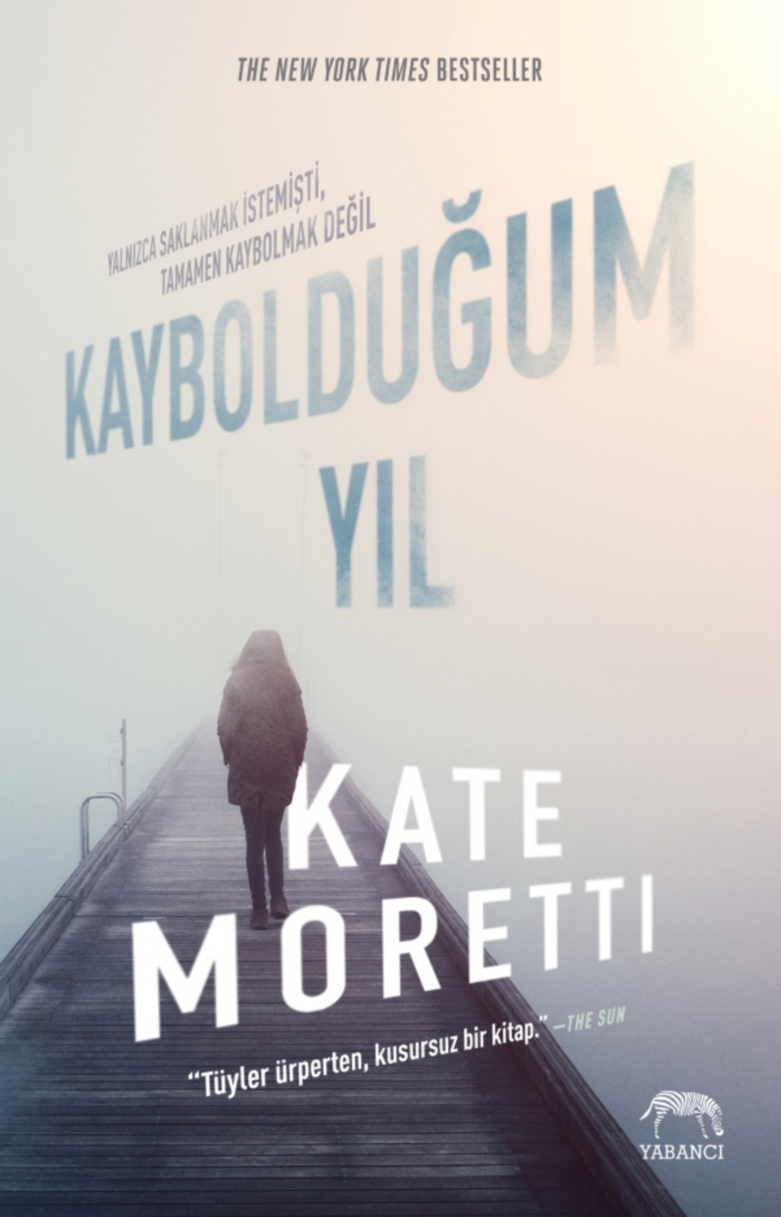 Resim Kaybolduğum Yıl