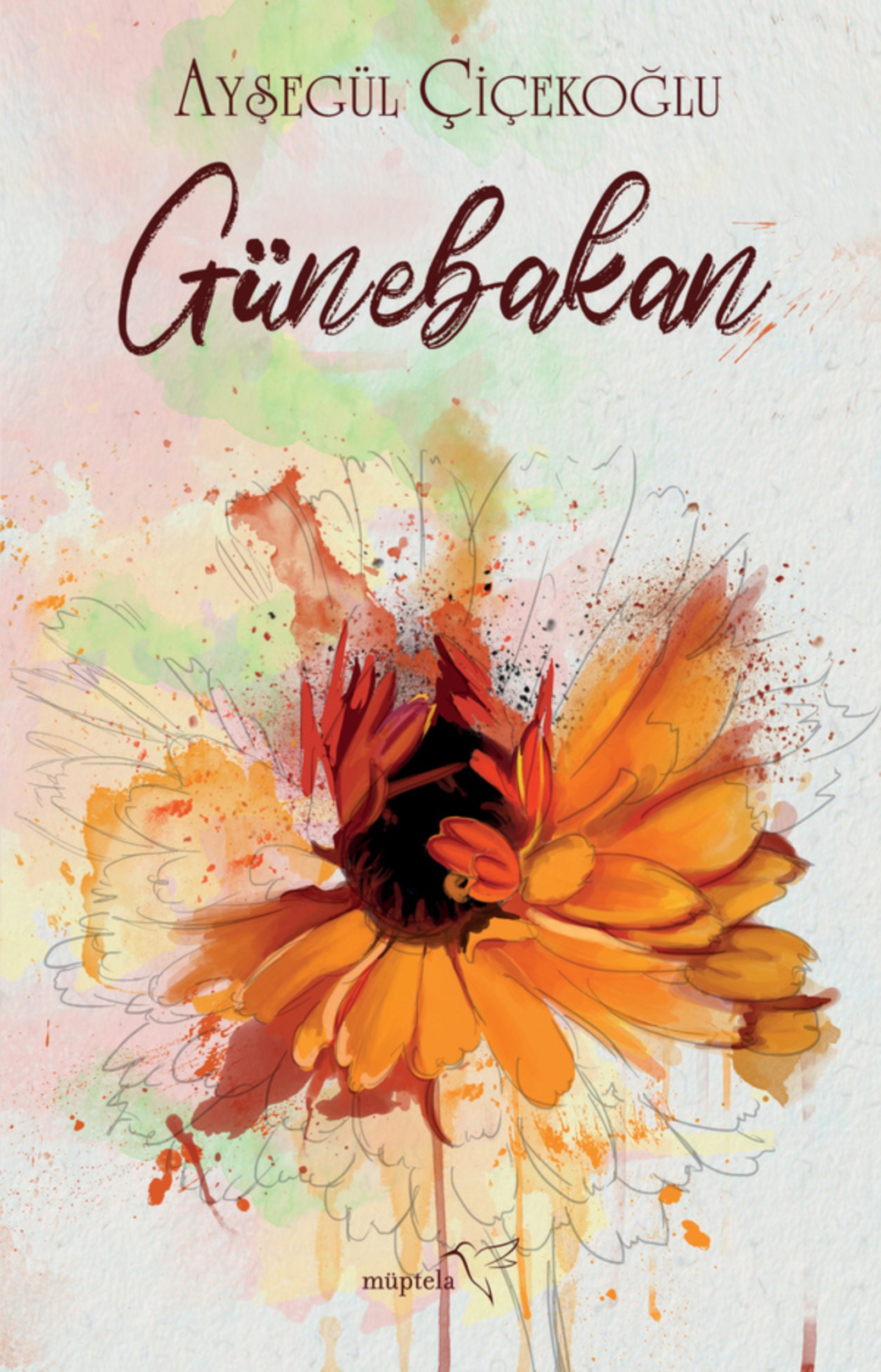 Resim Günebakan