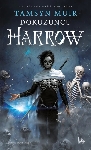 Resim Dokuzuncu Harrow