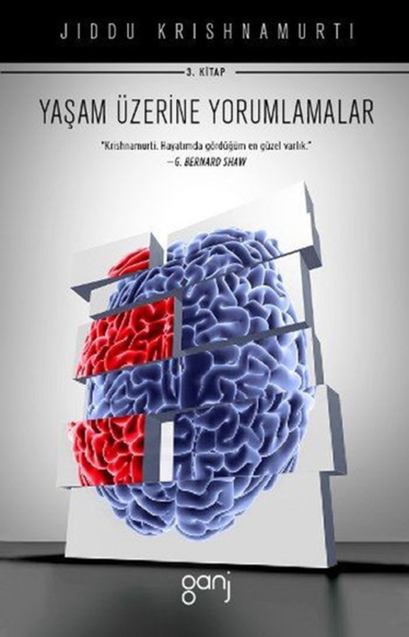 Resim Yaşam Üzerine Yorumlamalar Cilt 3