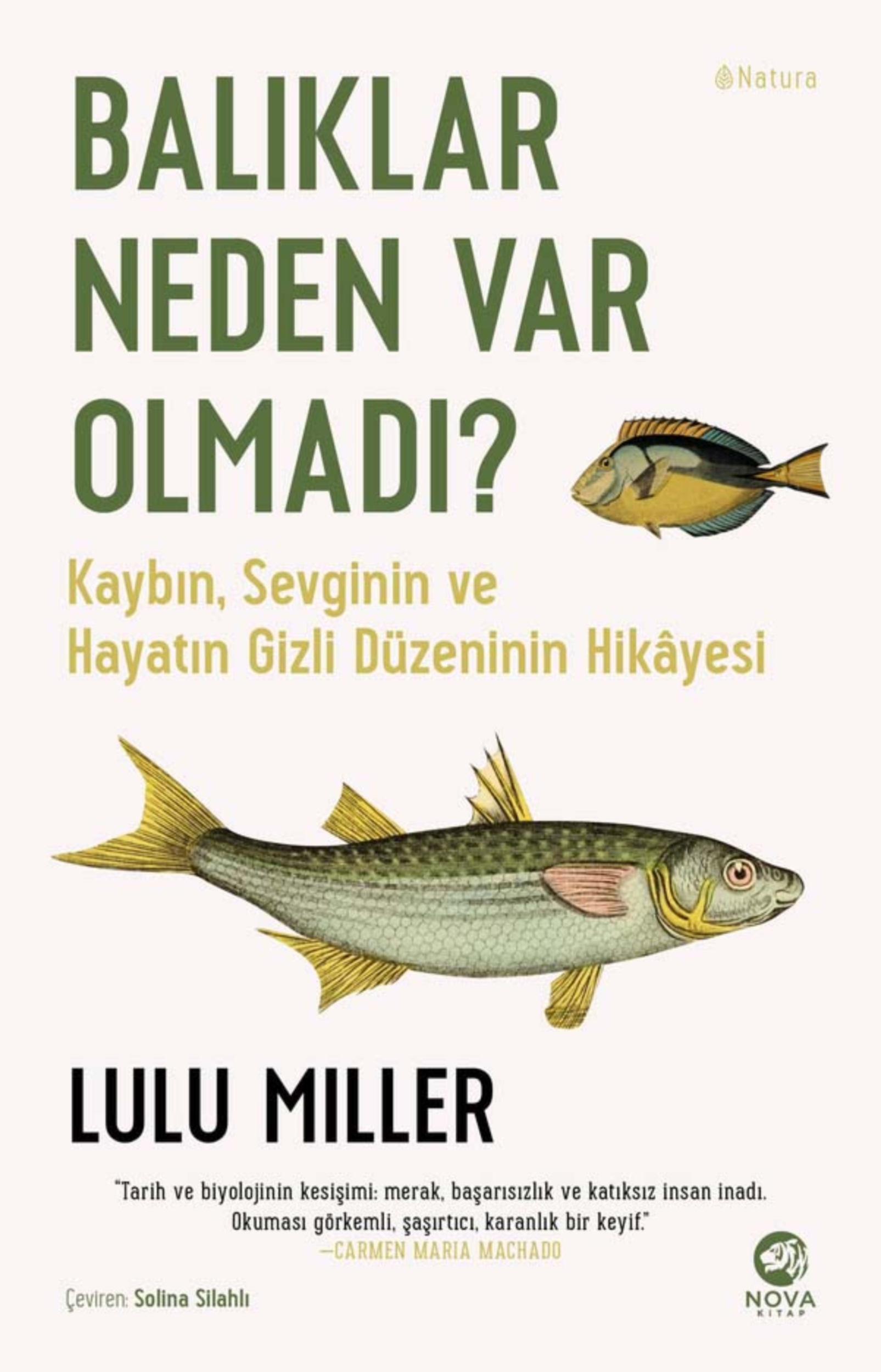 Resim Balıklar Neden Var Olmadı ?