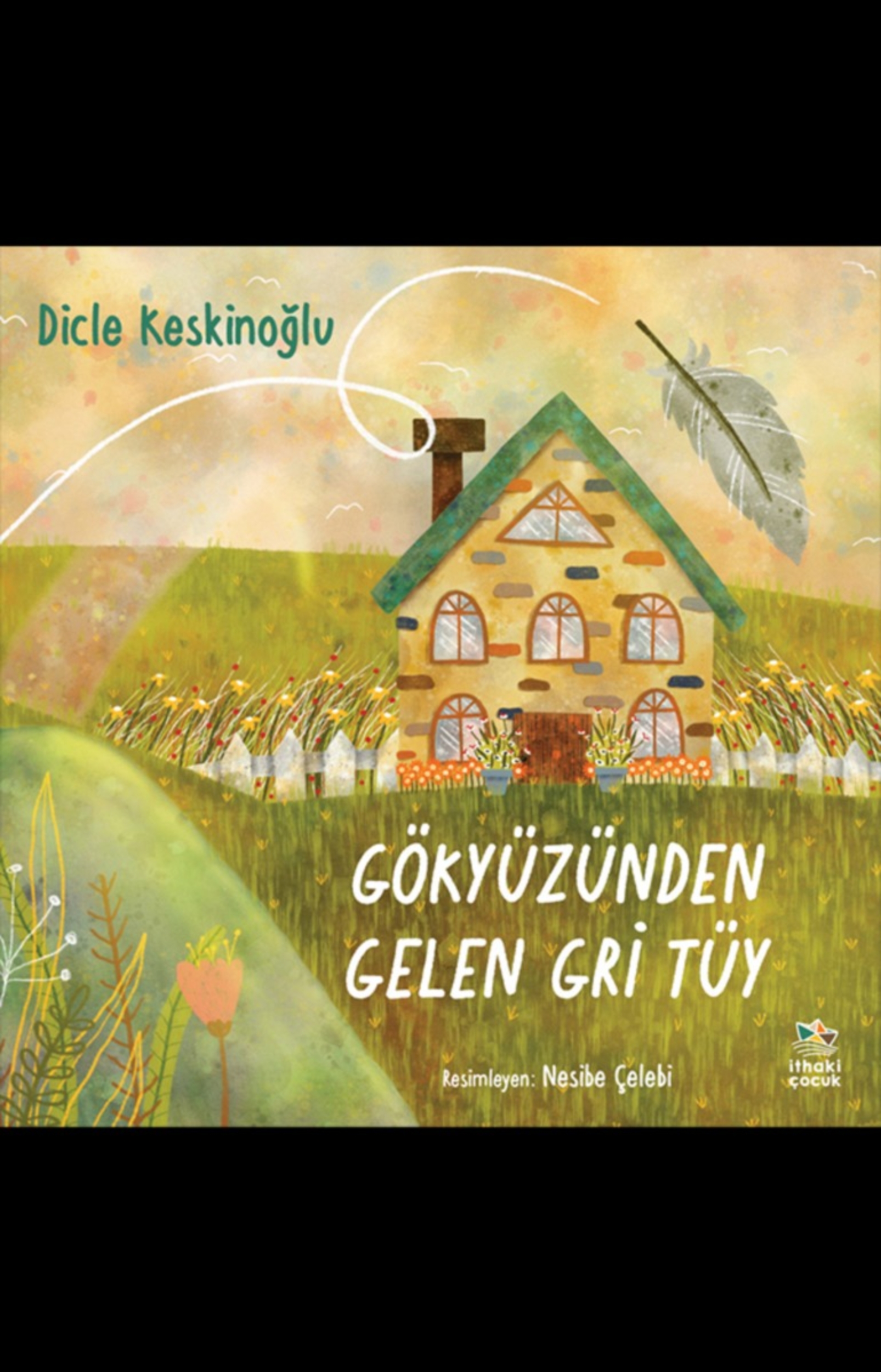 Resim Gökyüzünden Gelen Gri Tüy