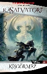 Resim Drizzt Efsanesi 21.Kitap Kışgörmez