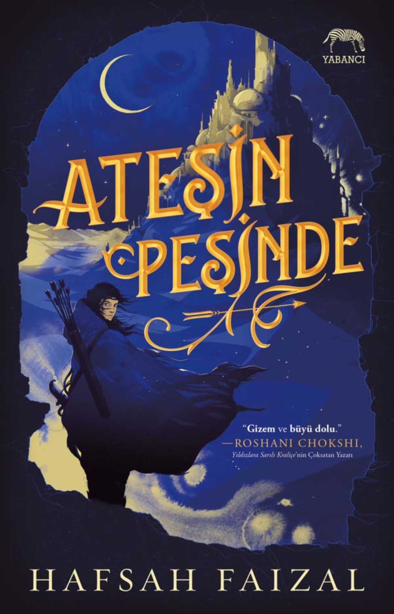 Resim Ateşin Peşinde