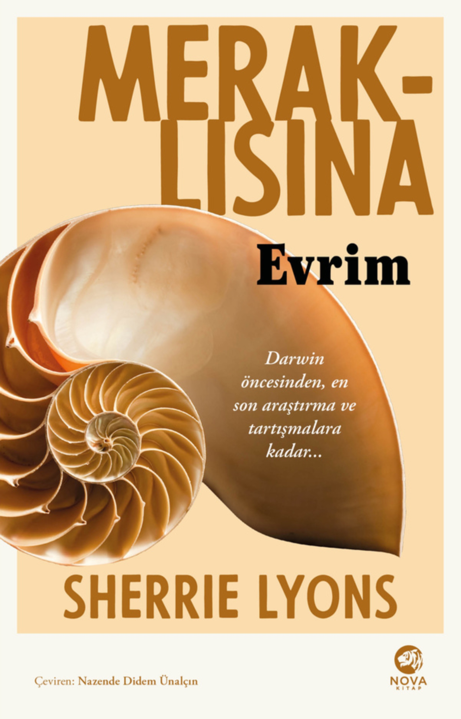 Resim Meraklısına Evrim