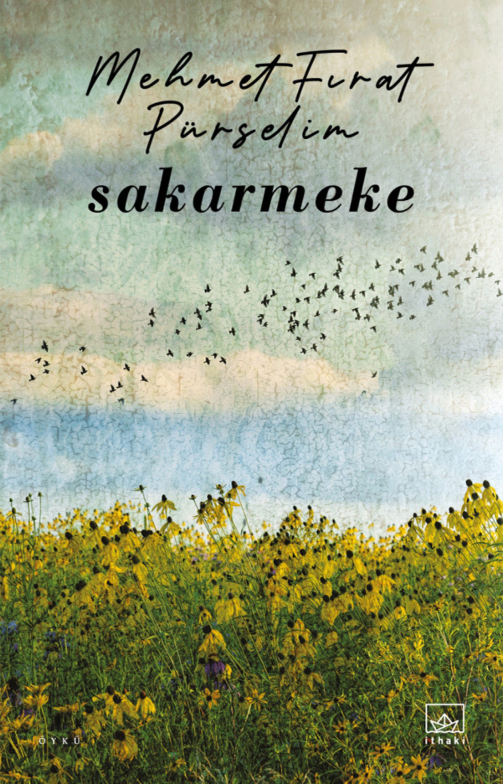Resim Sakarmeke