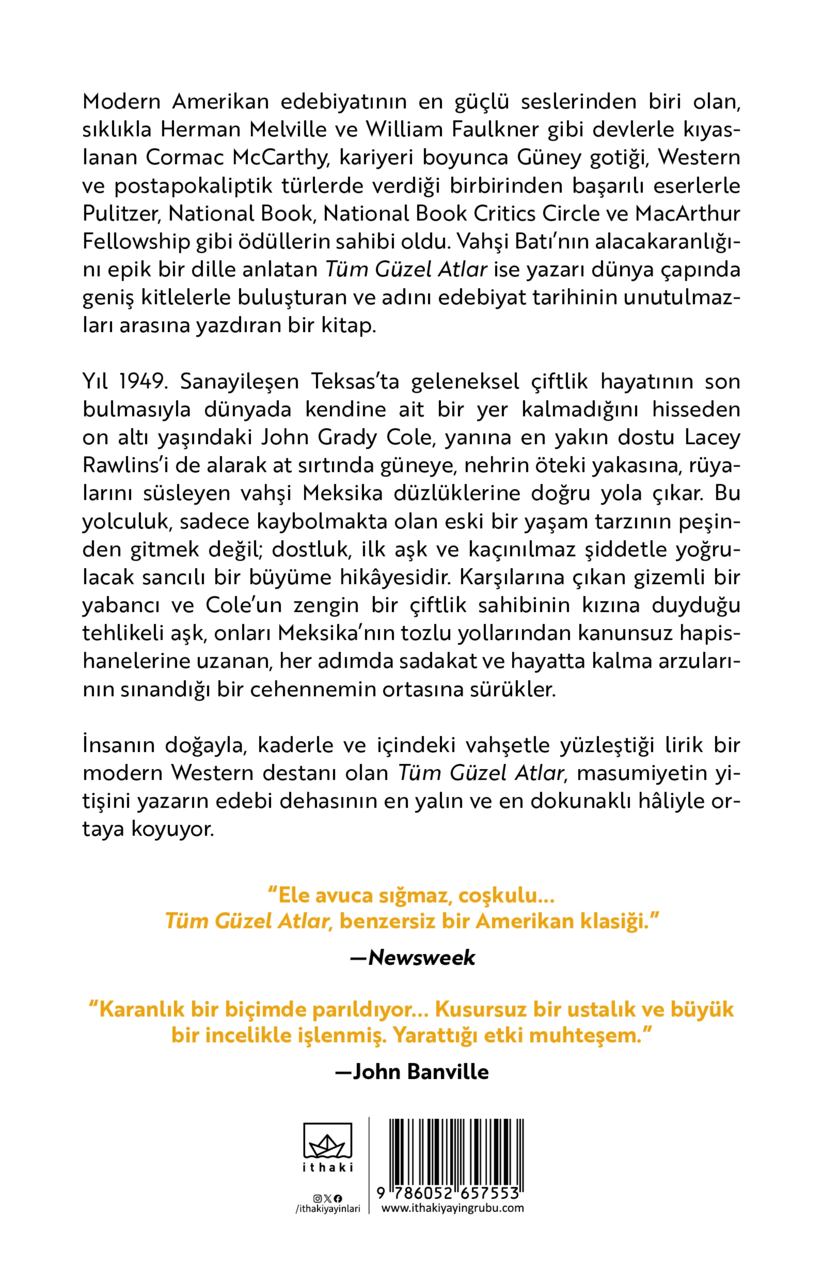Resim Tüm Güzel Atlar