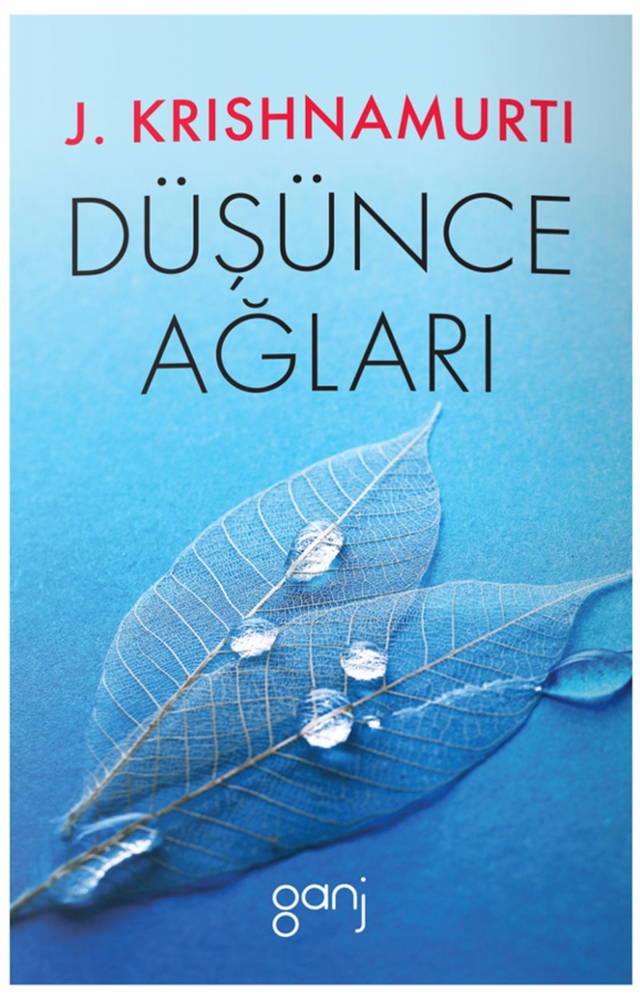 Resim Düşünce Ağları
