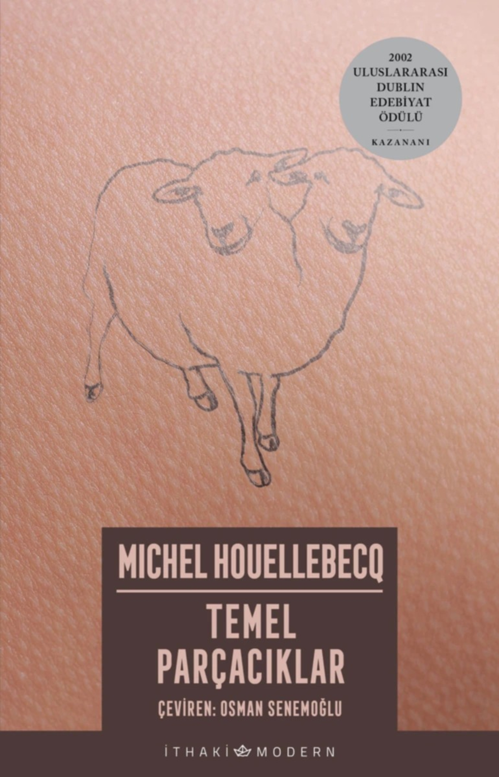 Resim Temel Parçacıklar
