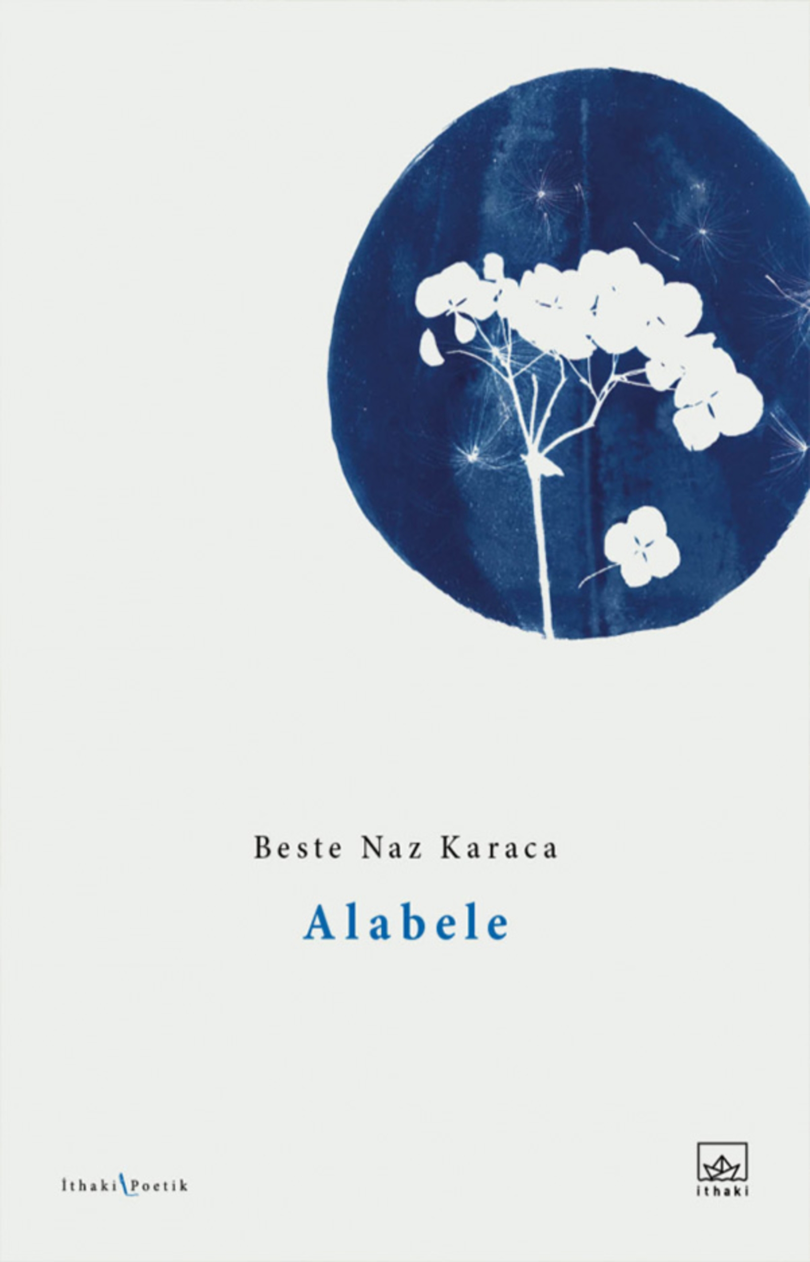 Resim Alabele