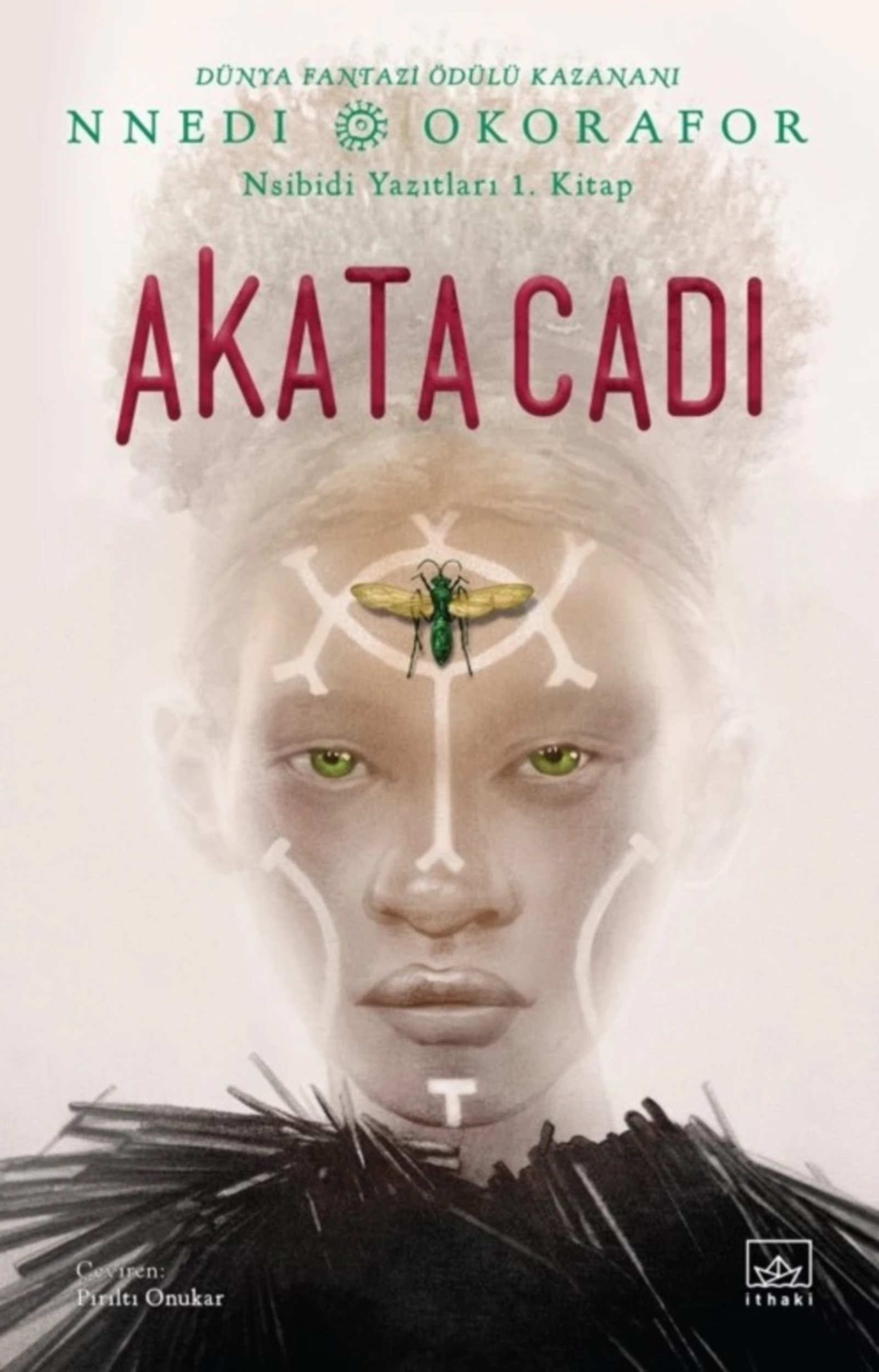 Resim Akata Cadı/Nsibidi Yazıtları 1.Kitap