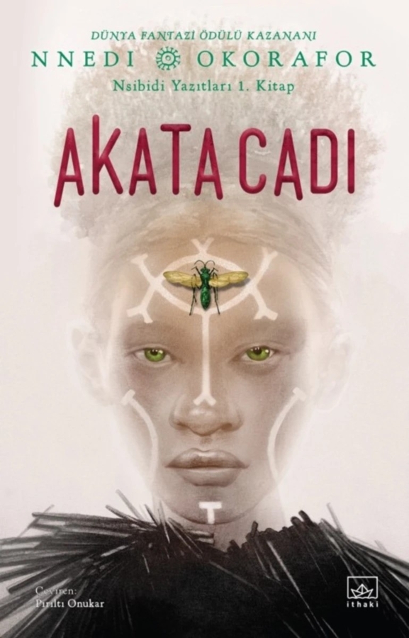 Resim Akata Cadı/Nsibidi Yazıtları 1.Kitap