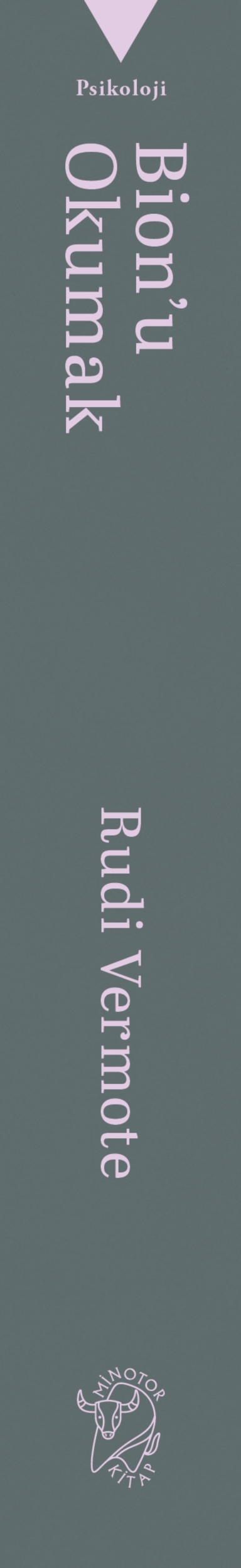 Resim Bıon'u Okumak