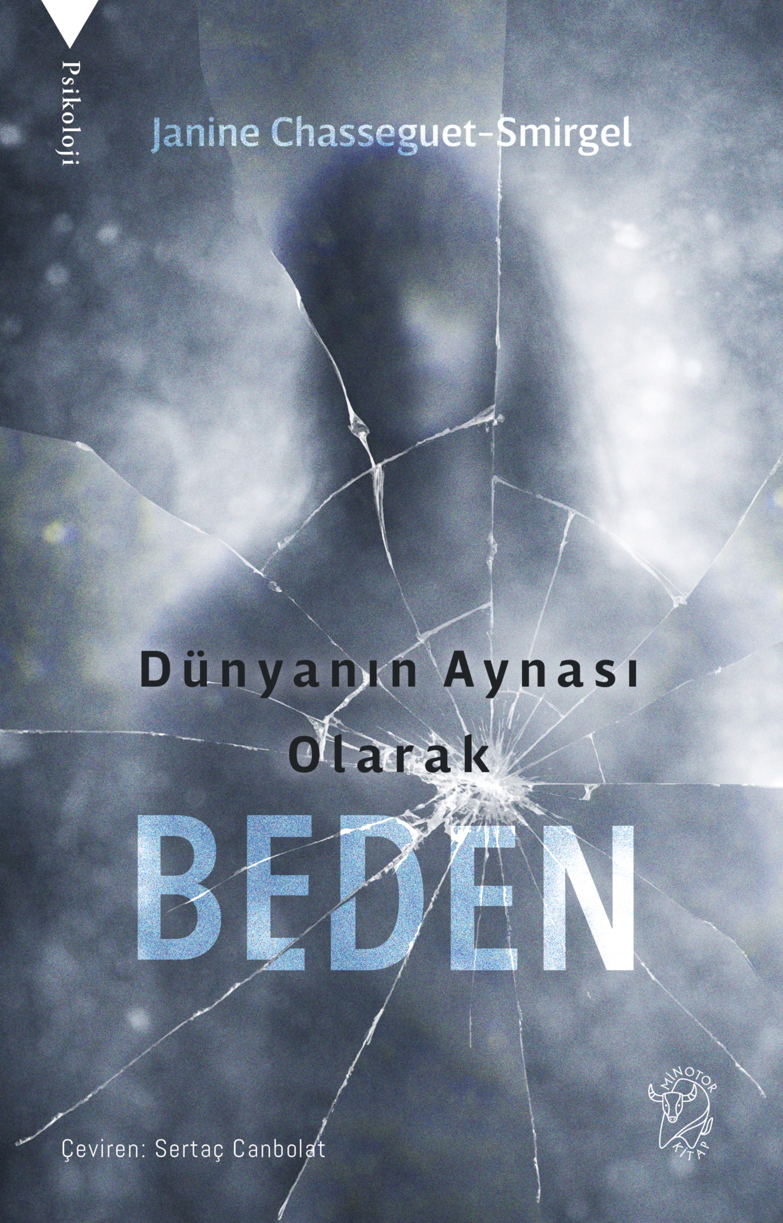 Resim Dünyanın Aynası Olarak Beden