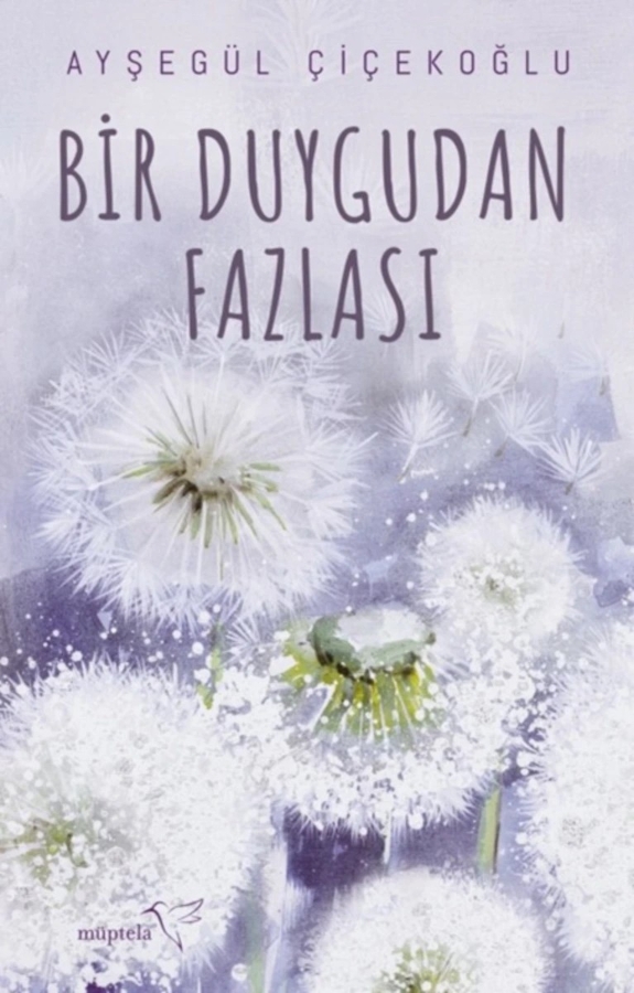Resim Bir Duygudan Fazlası