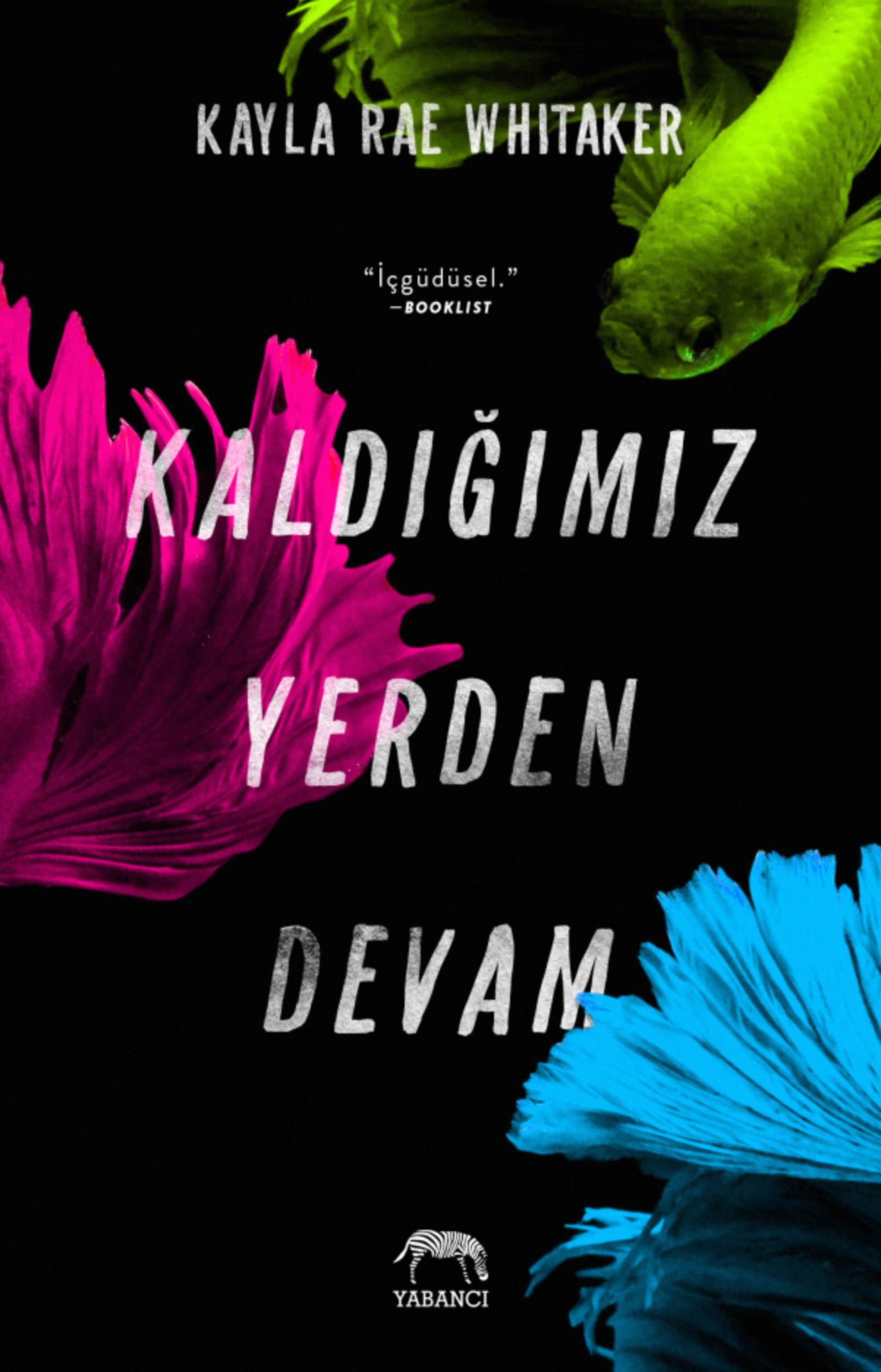 Resim Kaldığımız Yerden Devam