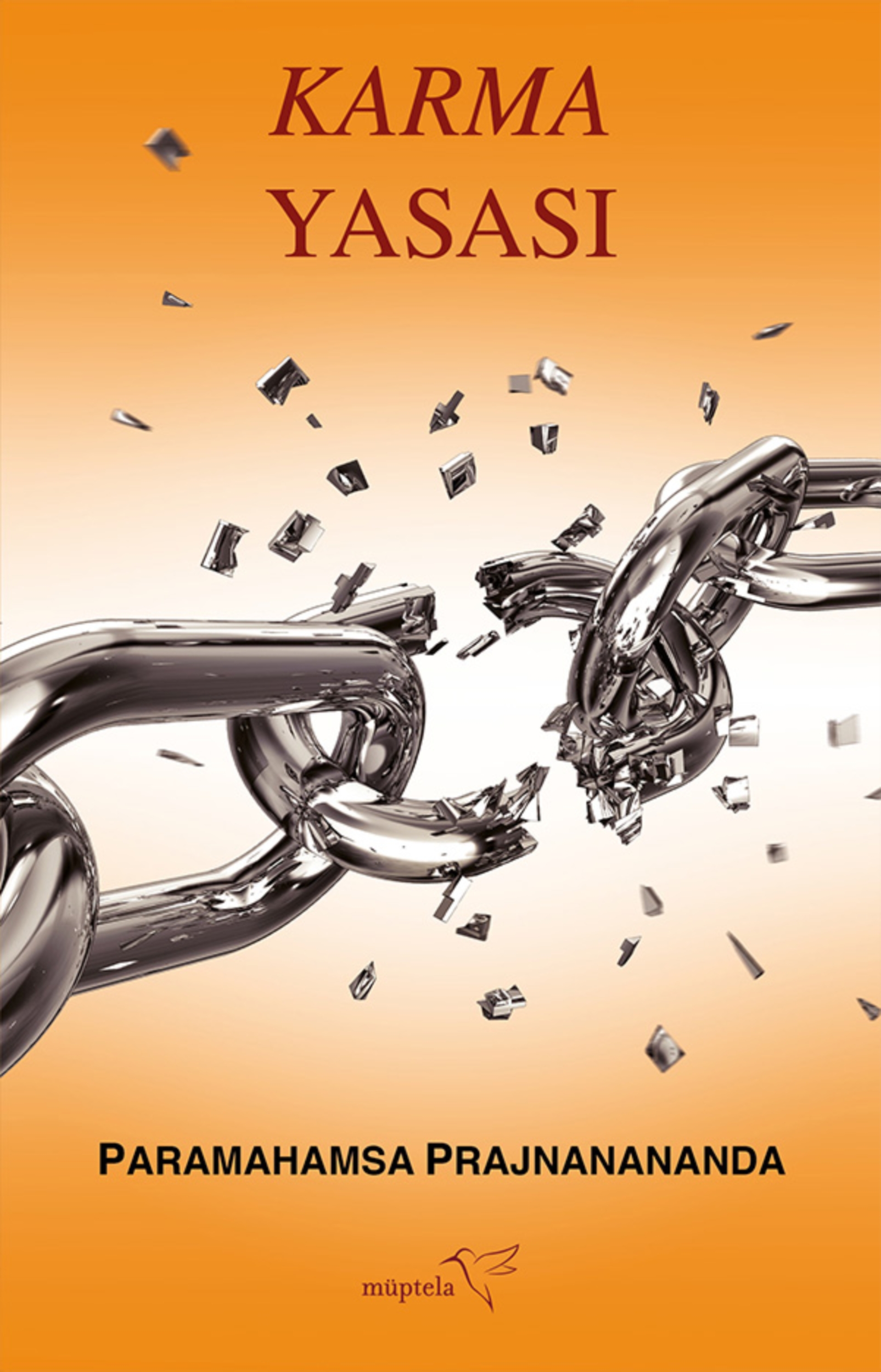 Resim Karma Yasası