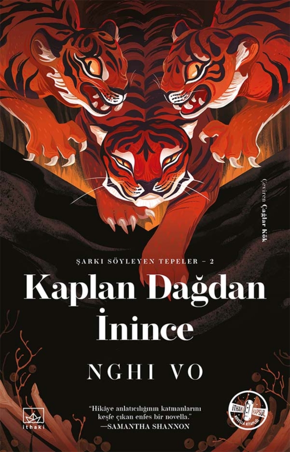 Resim Kaplan Dağdan İnince