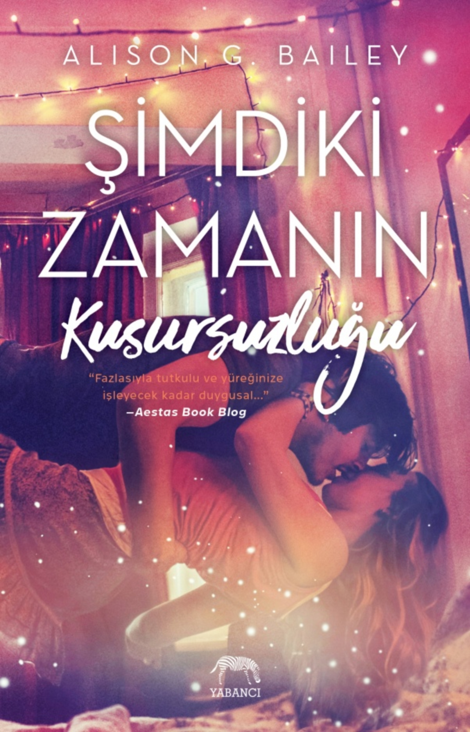 Resim Şimdiki Zamanın Kusursuzluğu