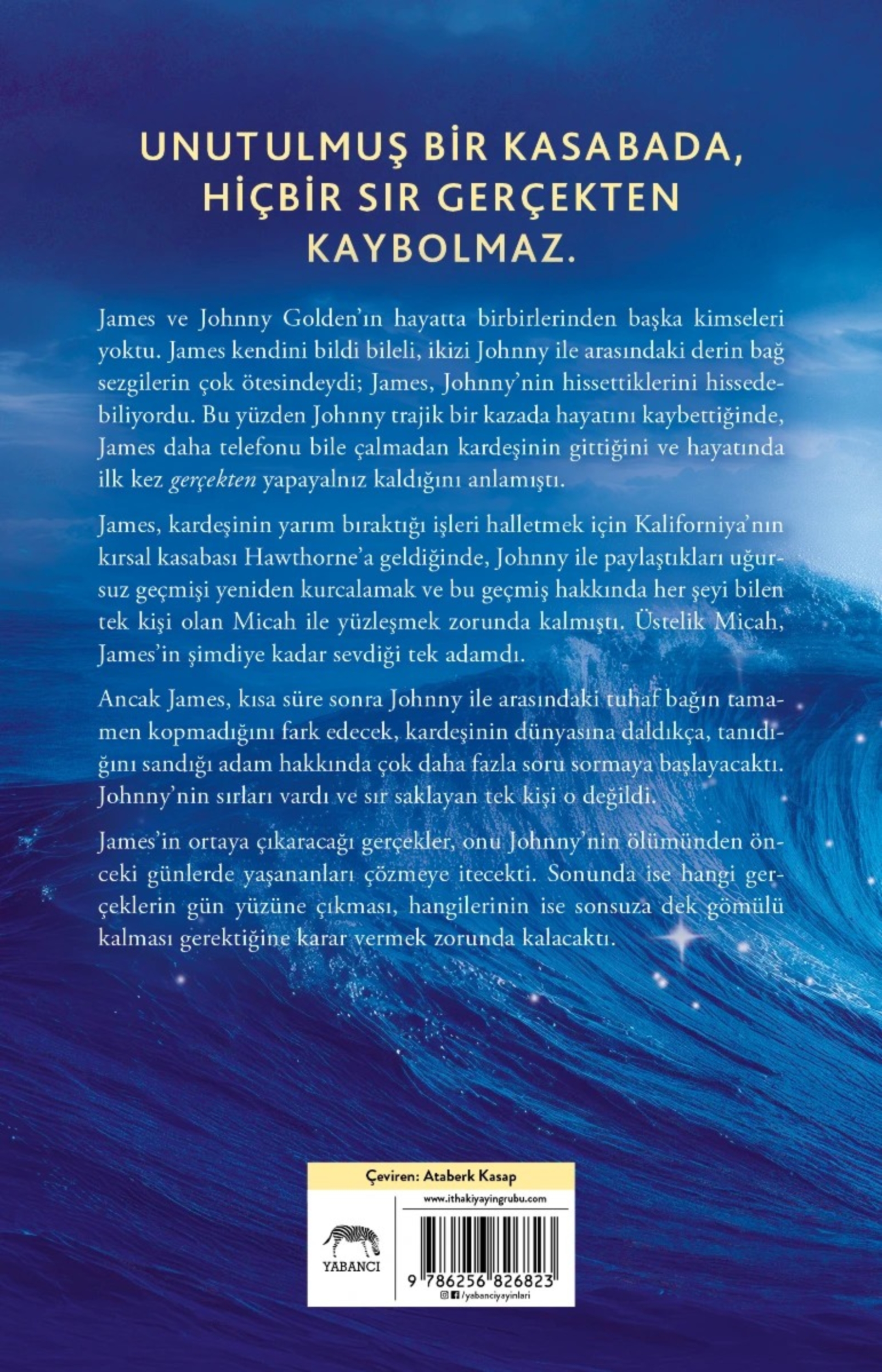 Resim Konuşulmayan Şeyler Denizi