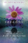 Resim Tesadüf