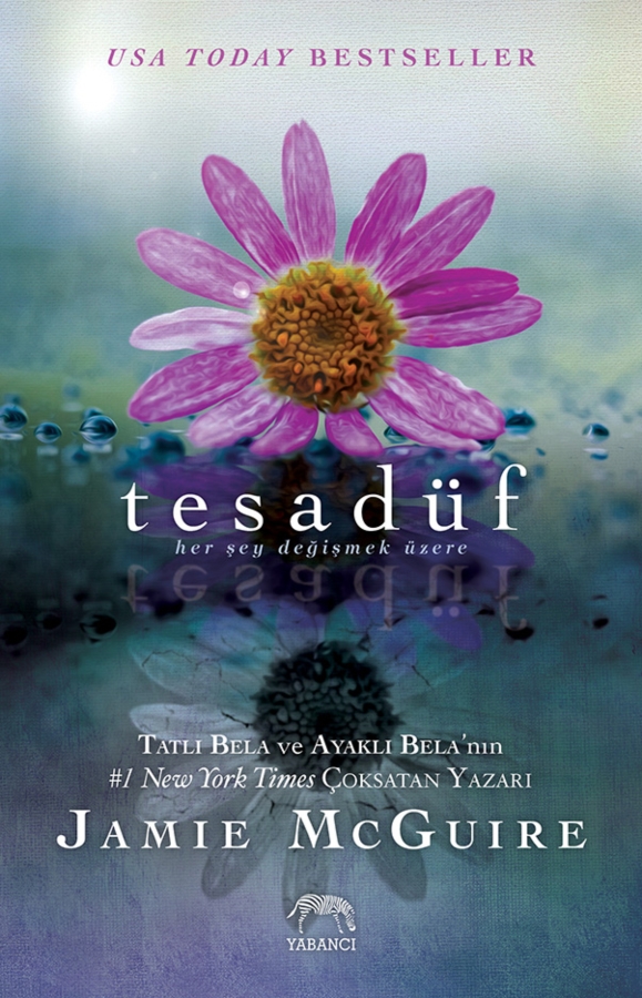 Resim Tesadüf