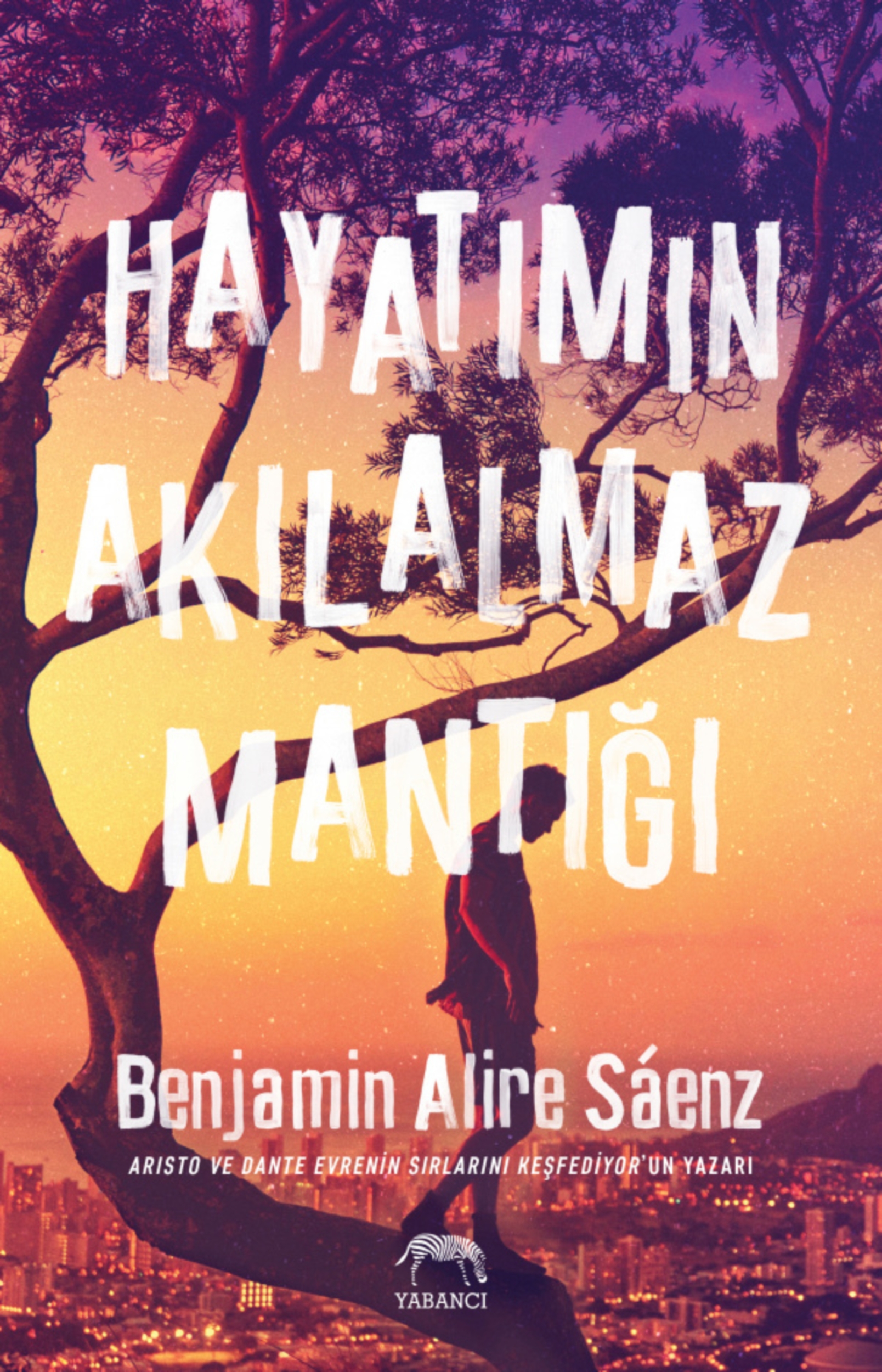 Resim Hayatımın Akılalmaz Mantığı