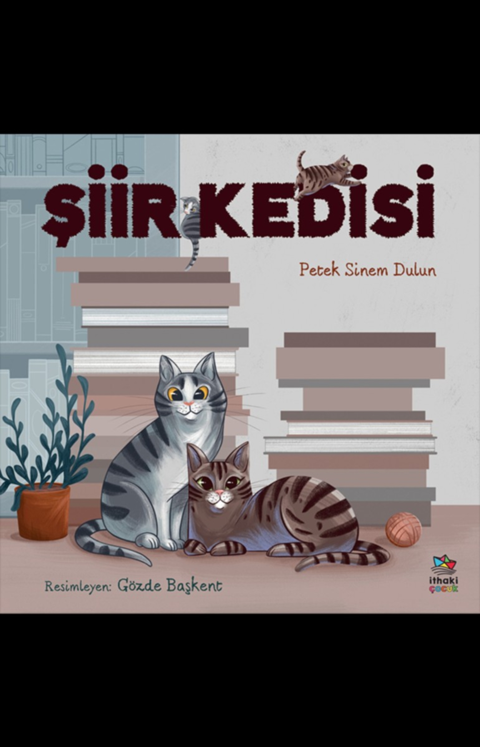 Resim Şiir Kedisi