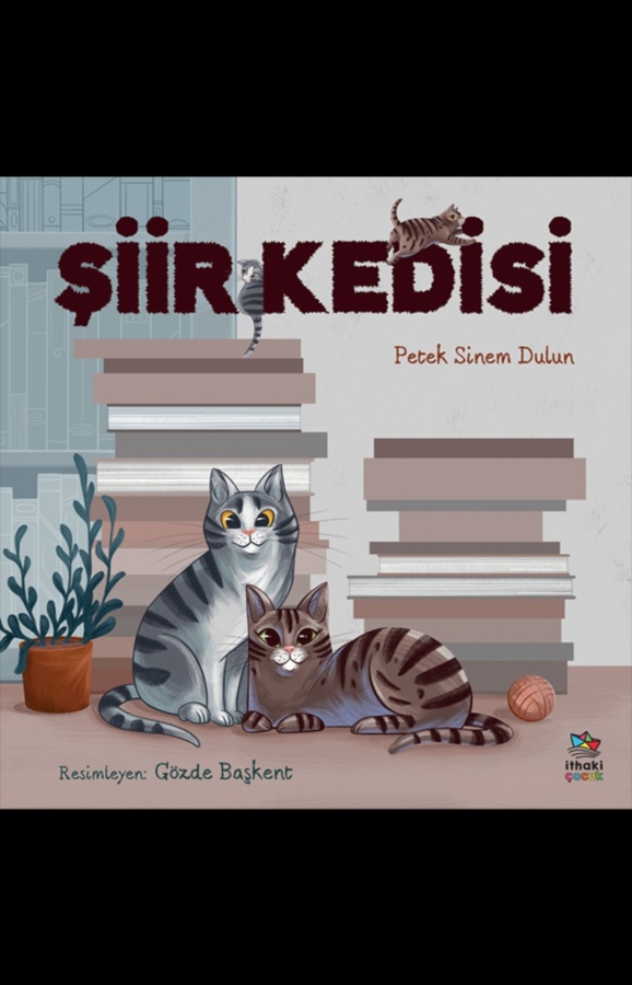 Resim Şiir Kedisi