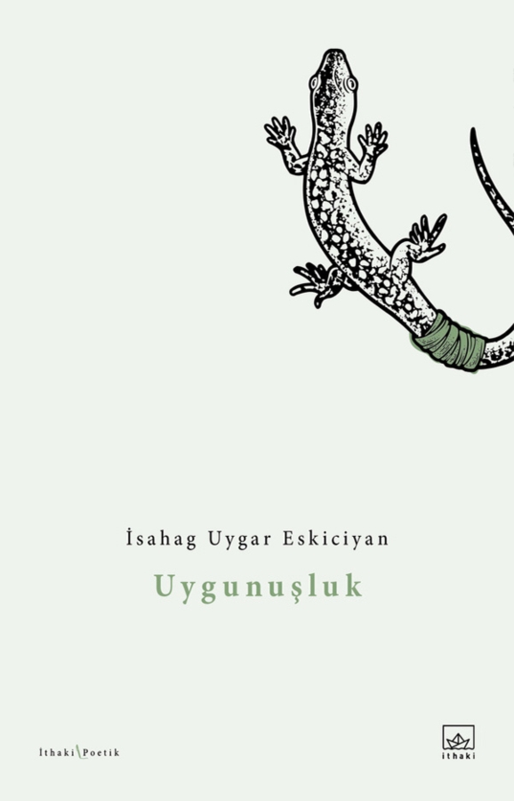 Resim Uygunuşluk