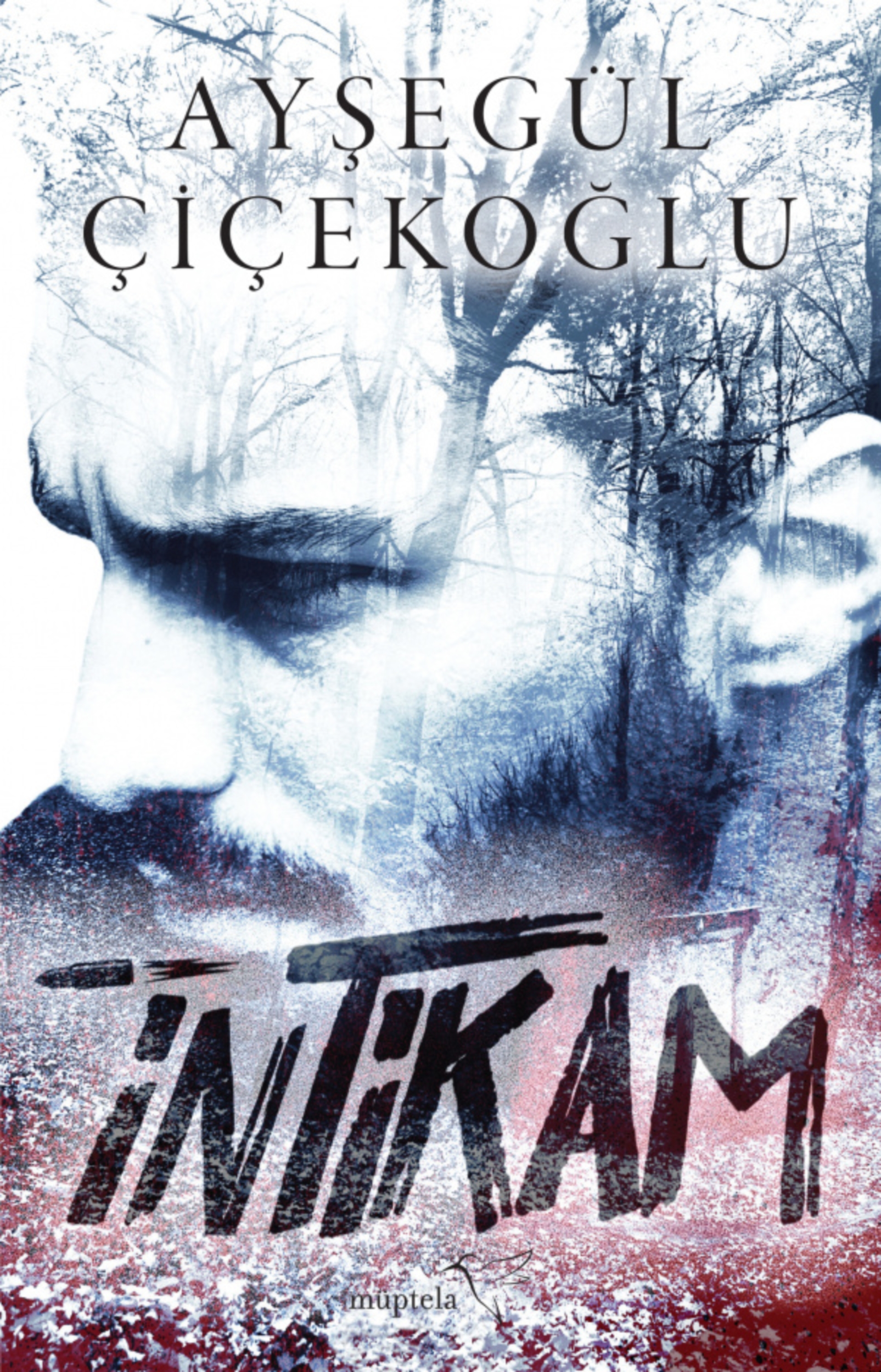Resim İntikam