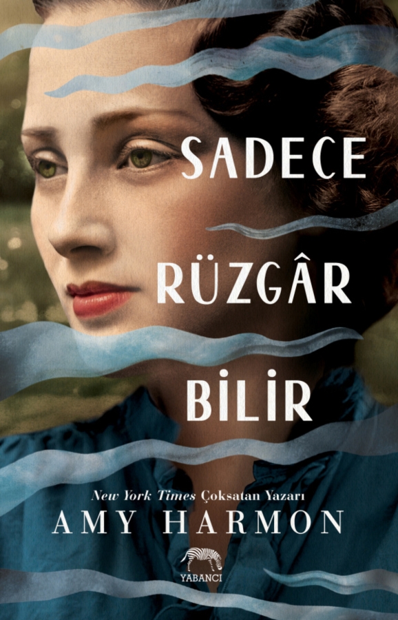 Resim Sadece Rüzgar Bilir