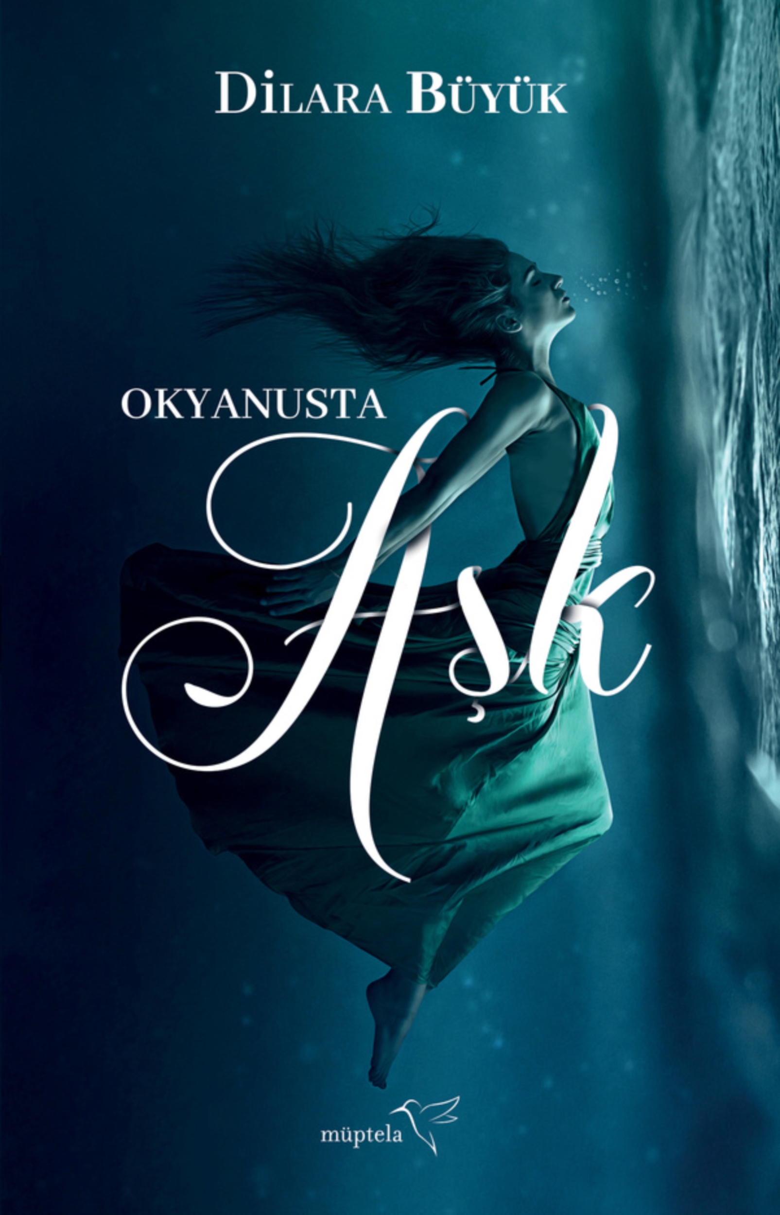 Resim Okyanusta Aşk