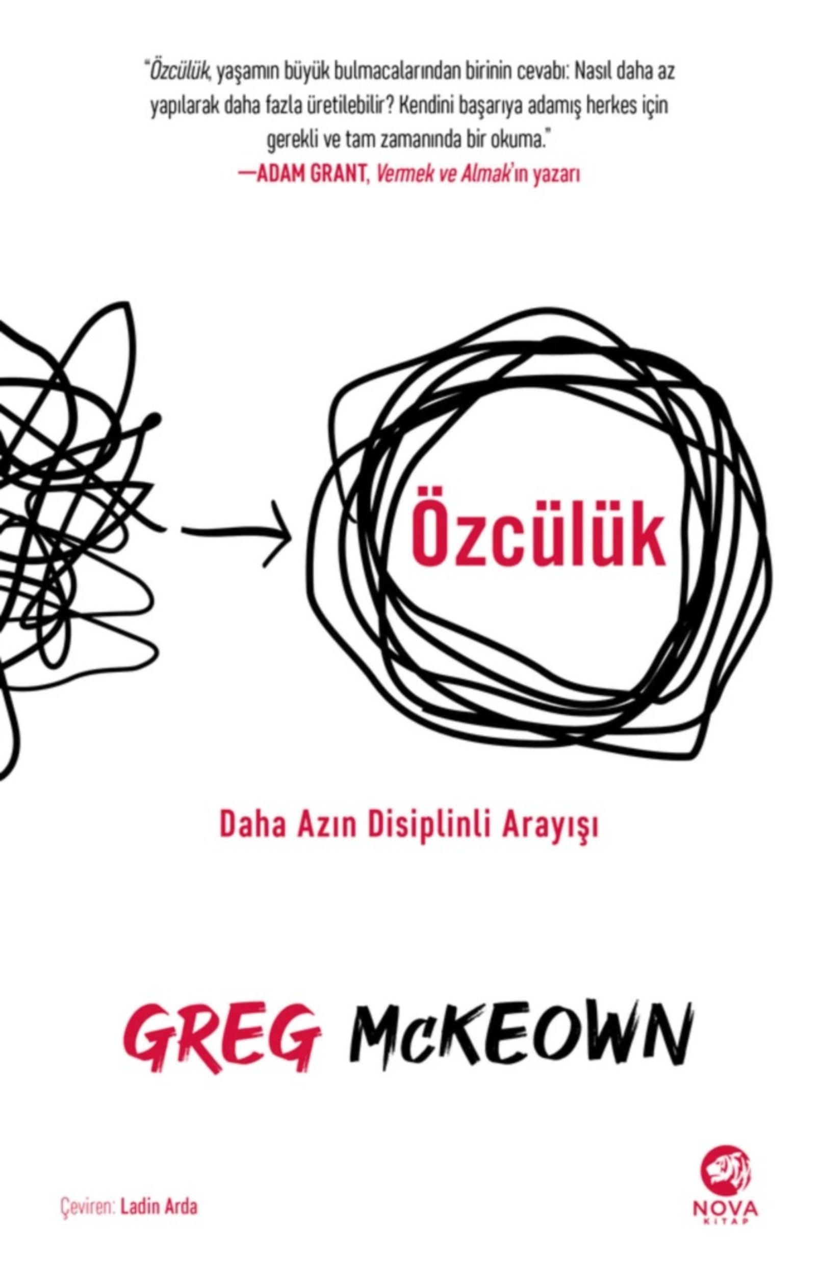 Resim Özcülük - Daha Azın Disiplin Arayışı